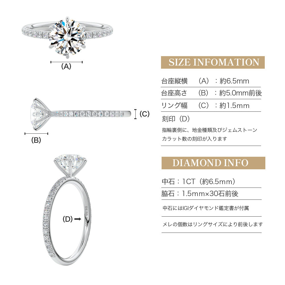 JD250036R-LGD 商品詳細 10