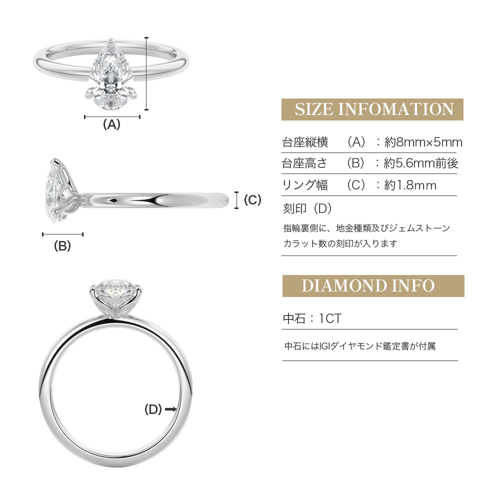 JD250042R-LGD 商品詳細 11