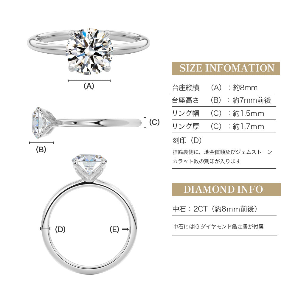 JD250049R-LGD 商品詳細 10