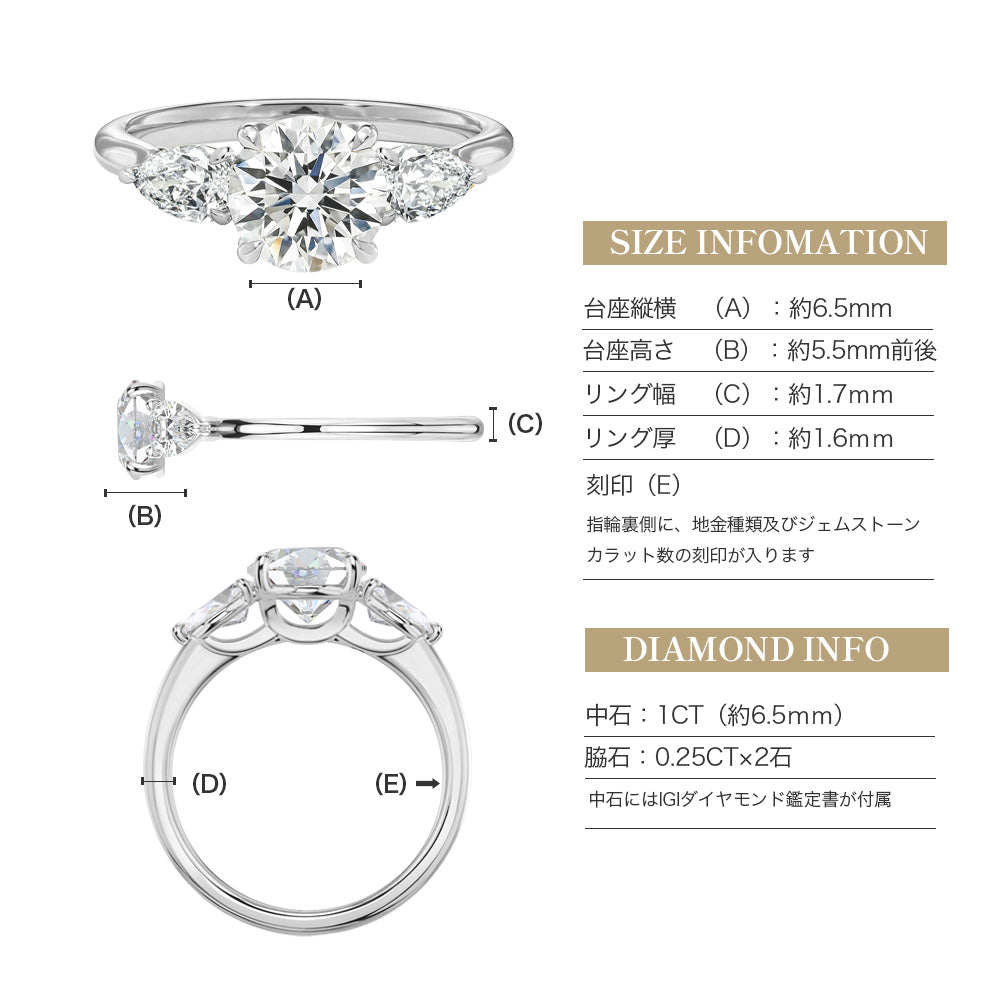 JD250053R-LGD 商品詳細 11