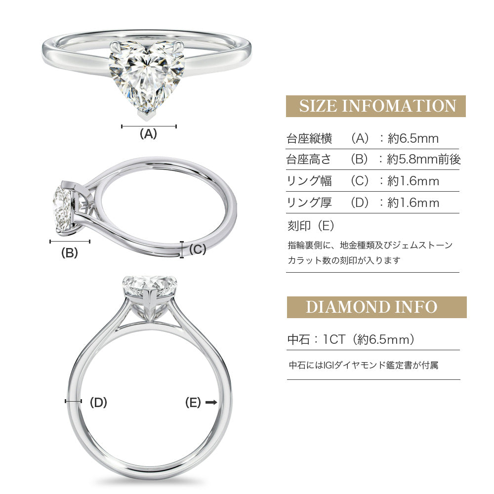 JD250054R-LGD 商品詳細 10