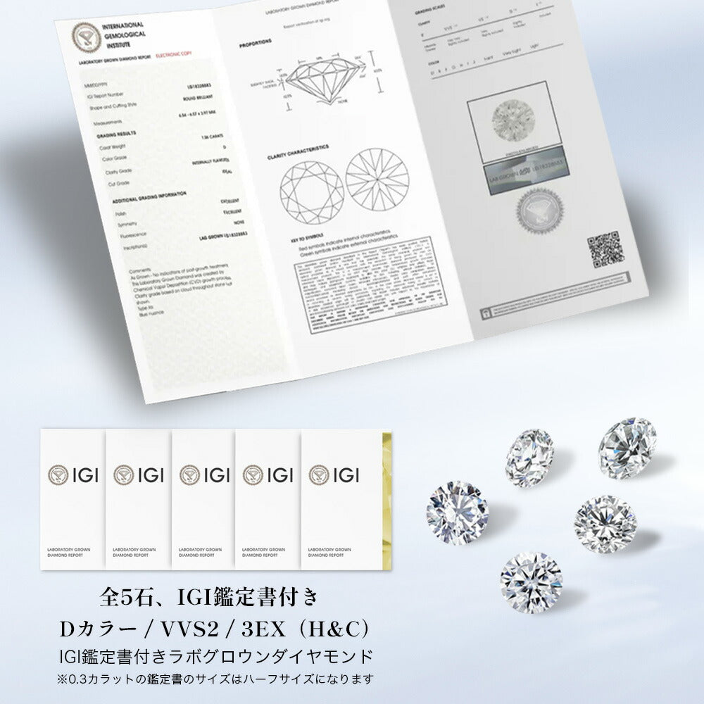 JD260014ER-LGD 商品詳細 2