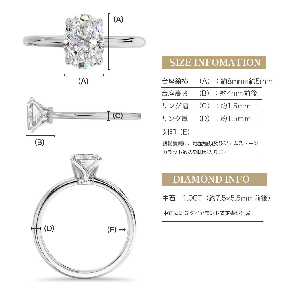 JD250063R-LGD-OV100 商品詳細 11