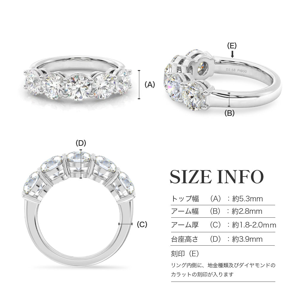 JD250025R-LGD 商品詳細 10