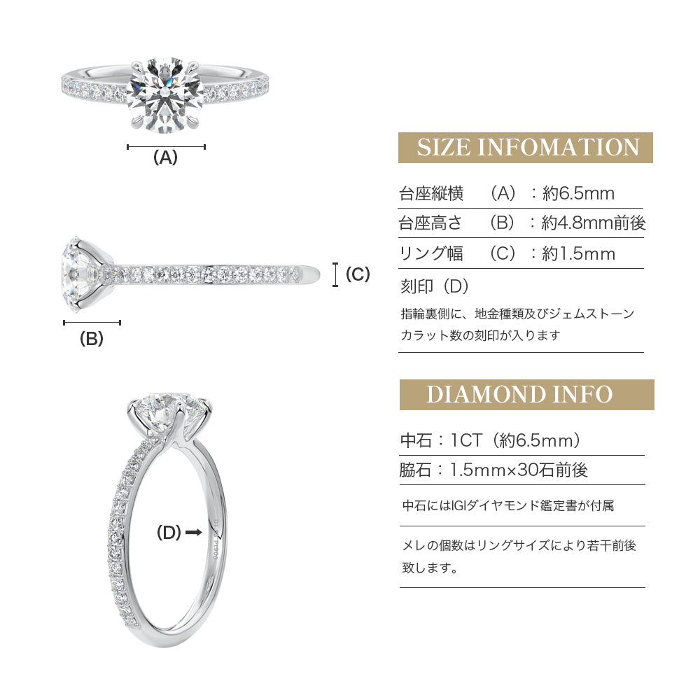 JD250035R-LGD 商品詳細 11