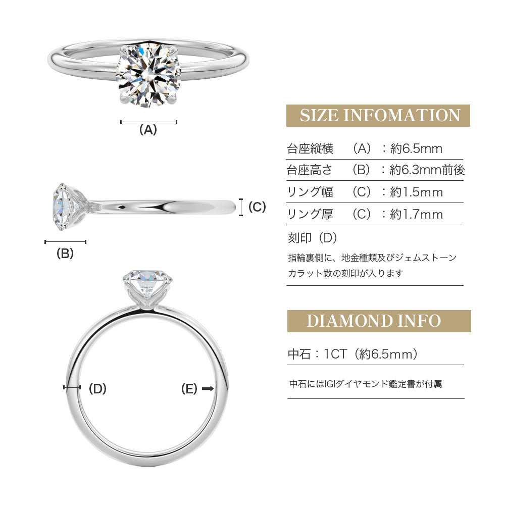 JD250047R-LGD 商品詳細 10