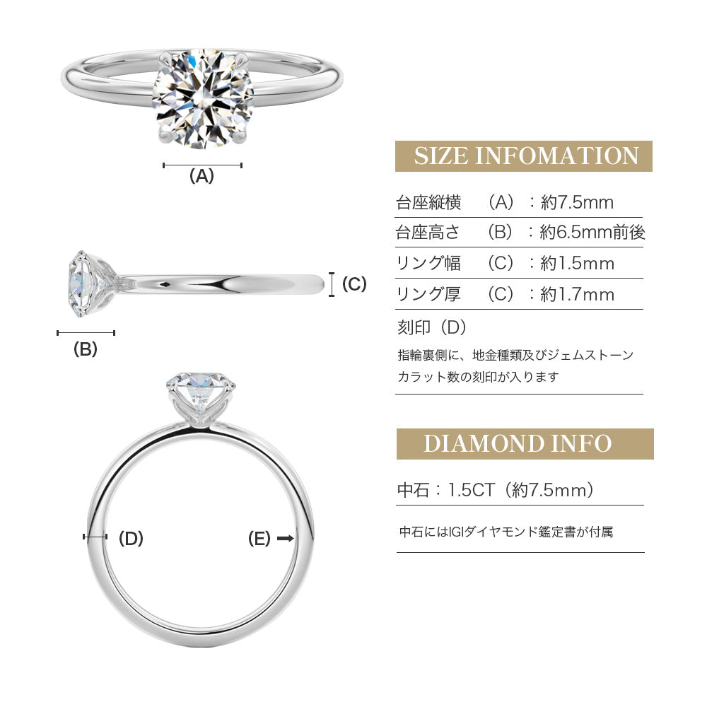 JD250048R-LGD 商品詳細 10