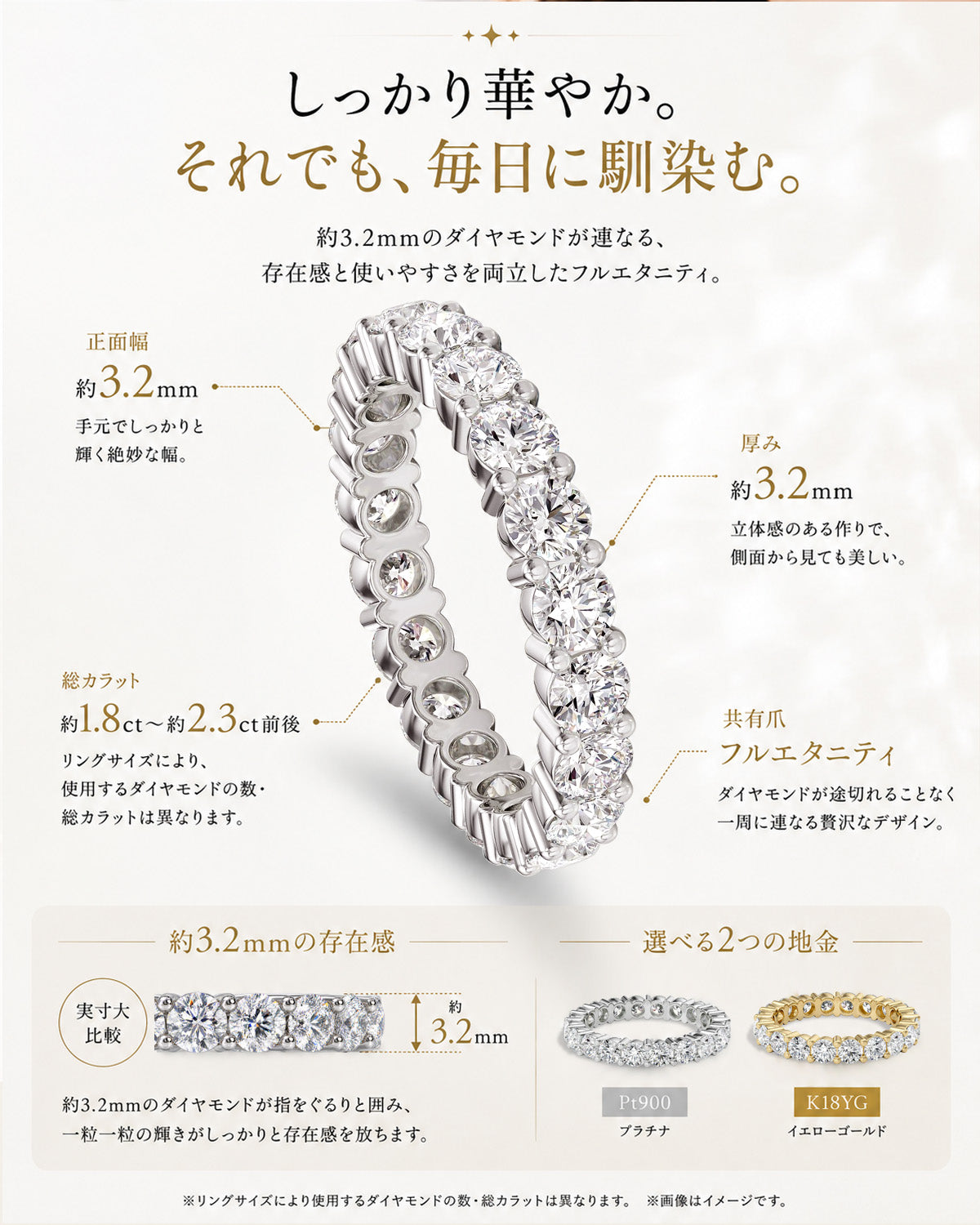 JD250060ER-LGD 商品詳細 3