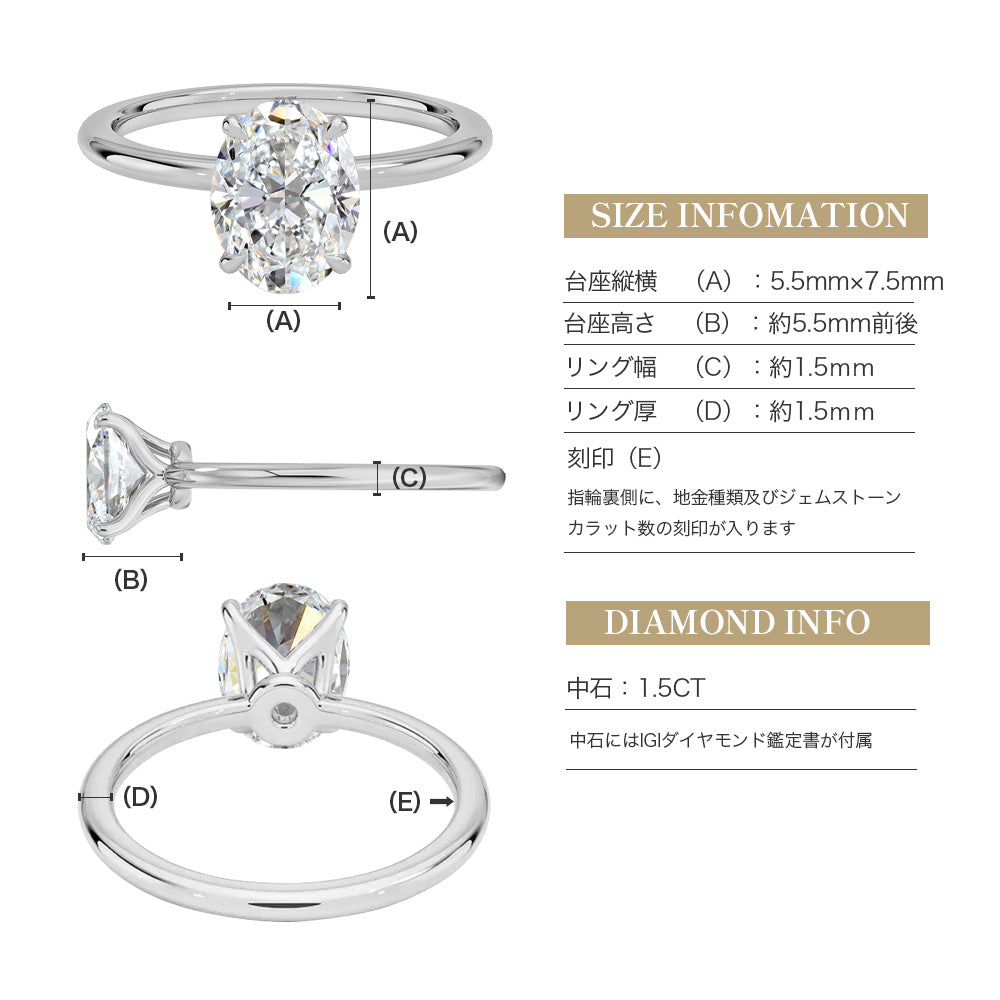 JD250063R-LGD-OV150 商品詳細 11
